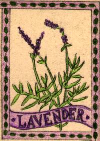 [Lavender]